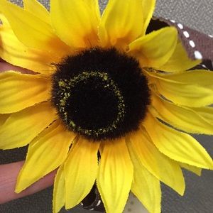 Meet your Posher, Kristine